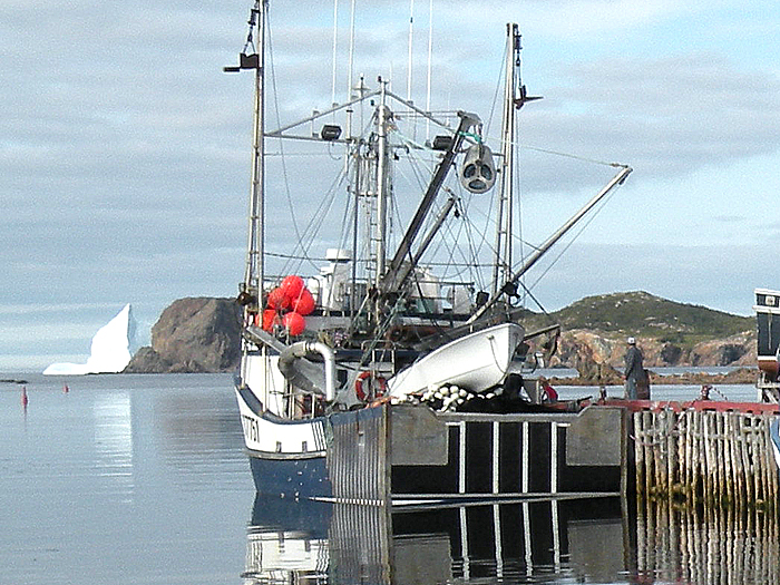 Fishing Boat and Iceberg - Twillingate Tourism, Newfoundland, Canada