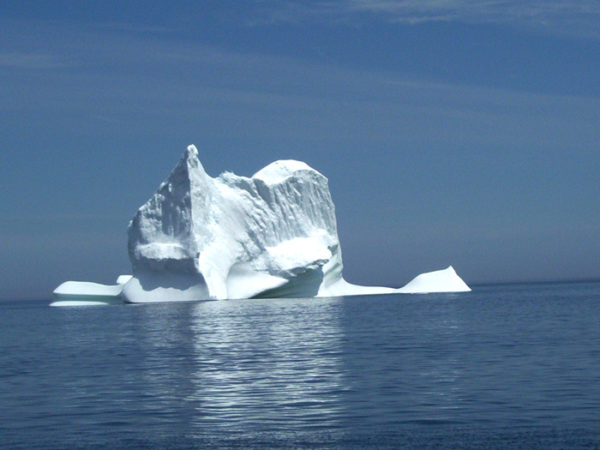 Iceberg in Twillingate