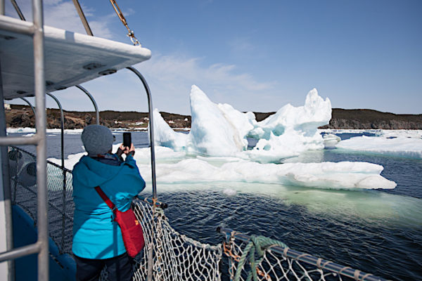 Iceberg Boat Tour in Twillingate