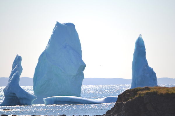 These icebergs in Crow Head glisten in the afternoon sun while the sun sparkles on the water.