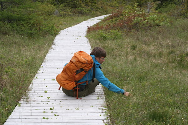 Exploring unexpected little finds along the trail to the Top of Twillingate.