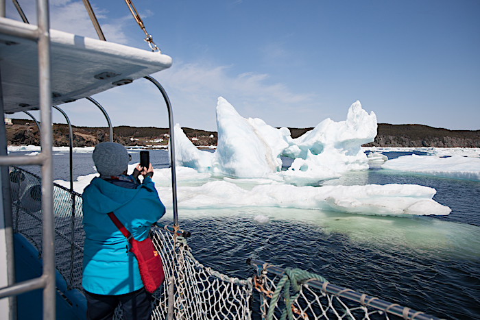 iceberg tours st john's newfoundland
