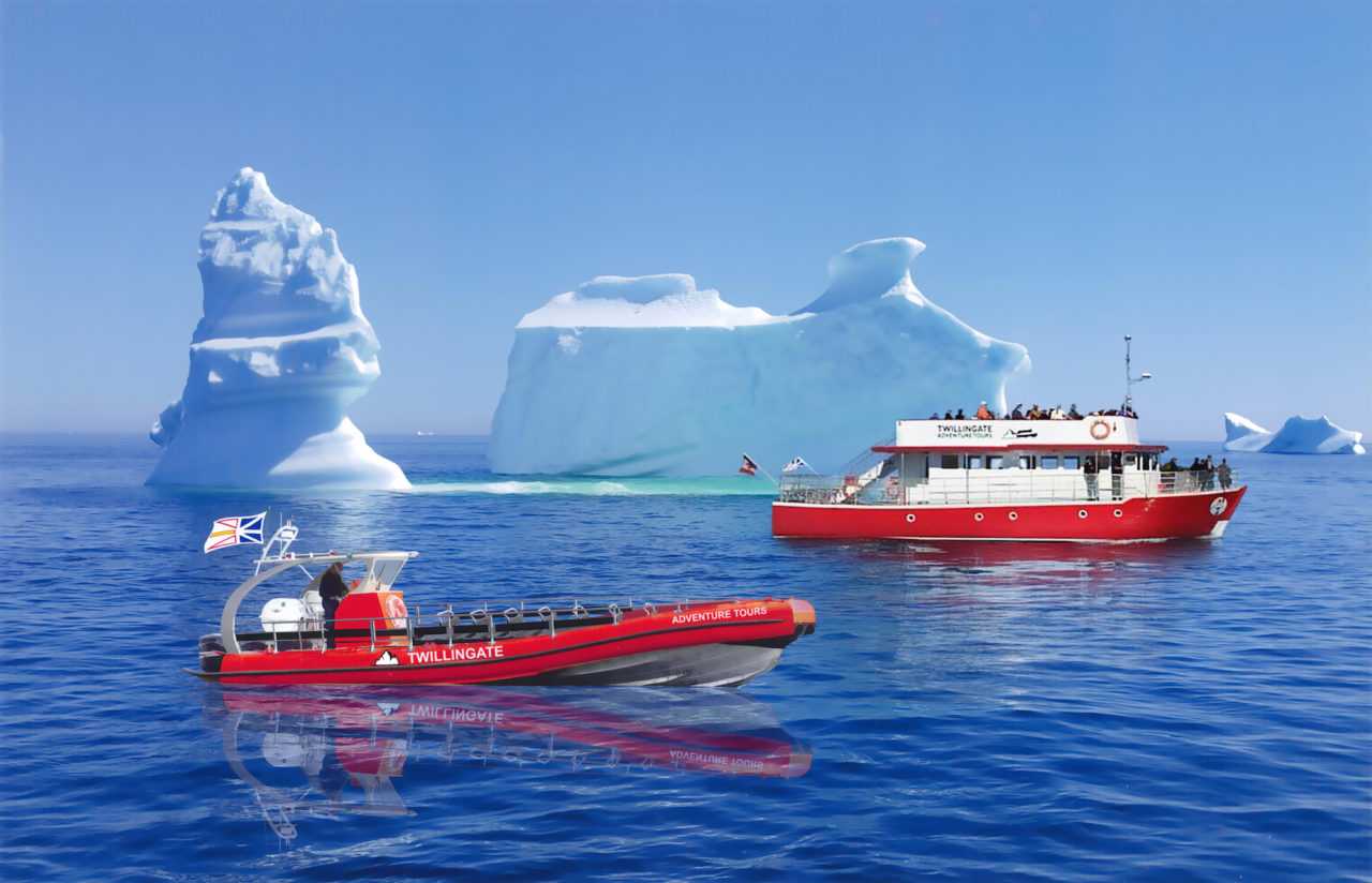 twillingate iceberg boat tours