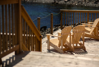 Twillingate Harbour from the deck at Hodge Premises, waiting for your NL Staycation